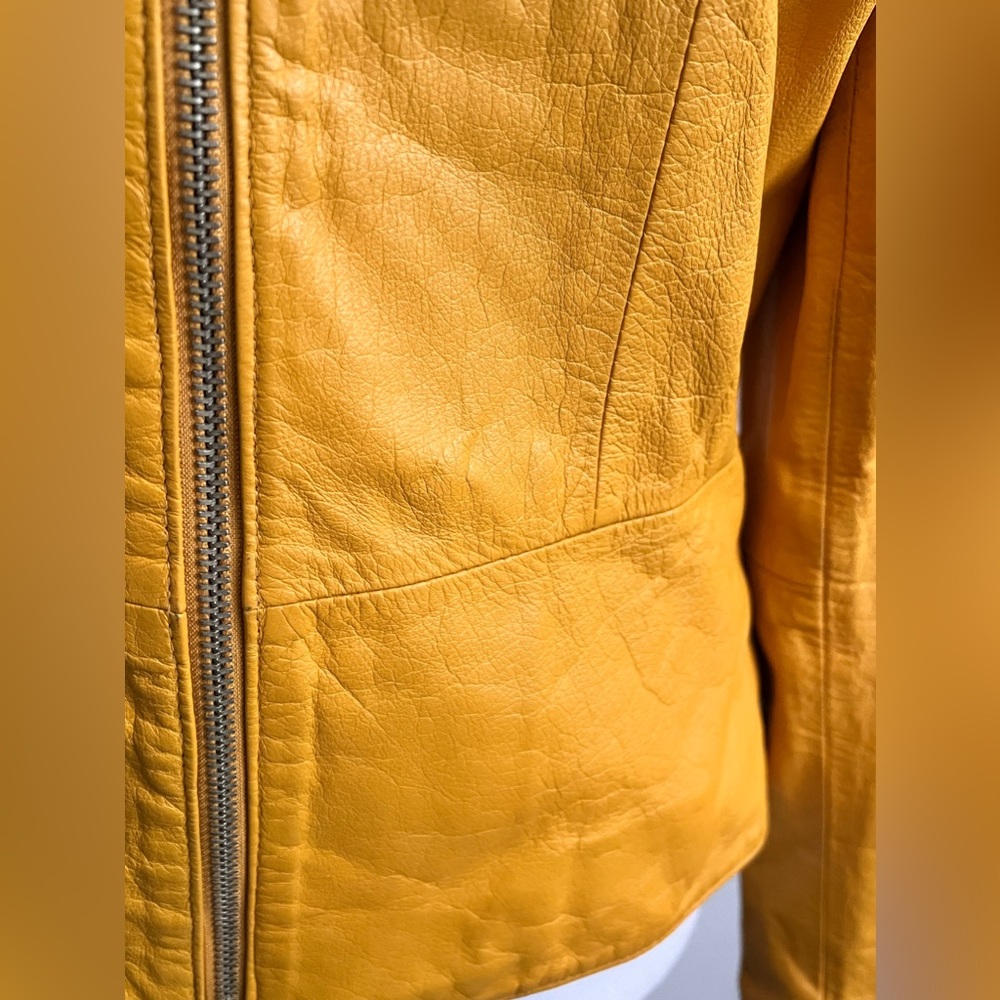 Ms. Maxima Jacket - image 3